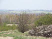 Naturschutzgebiet Brandberge