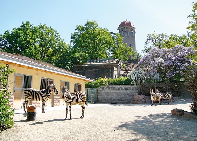 Zoologischer Garten